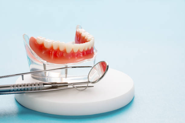 Best TMJ/TMD Treatment  in Bayonet Point, FL